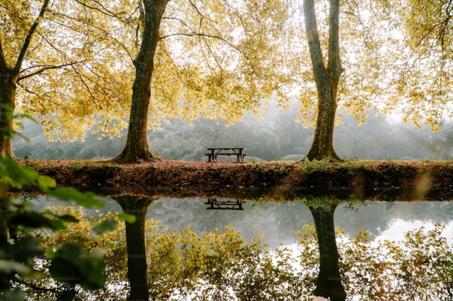 Autumn25 Cover photo